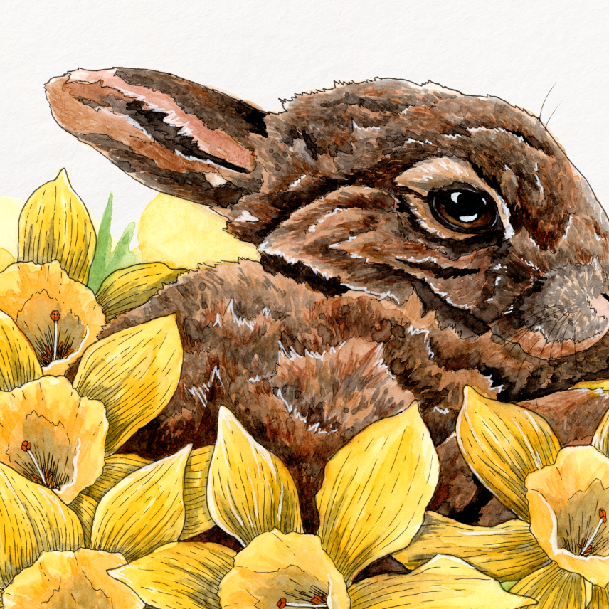 Illustration of a rabbit surrounded by yellow flowers on a white background
