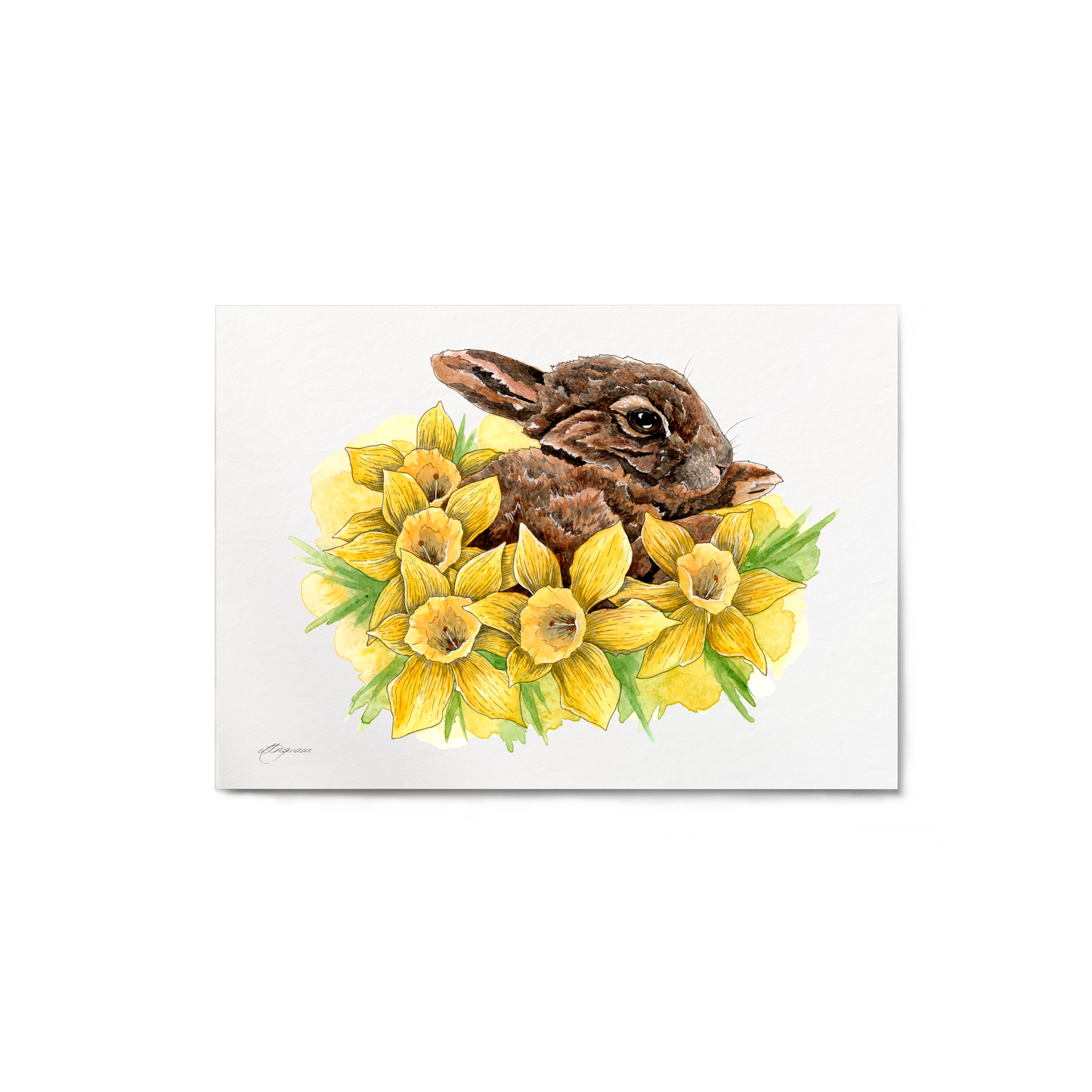 "Dozing in Daffodils" Print