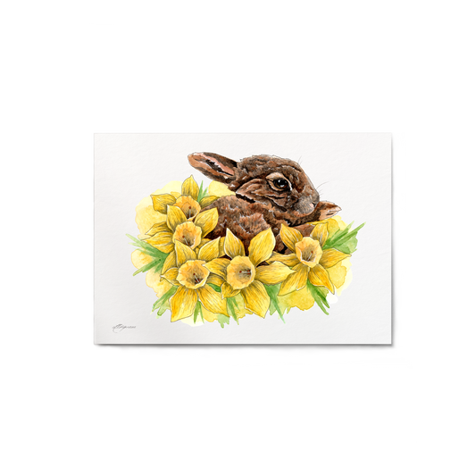 "Dozing in Daffodils" Print