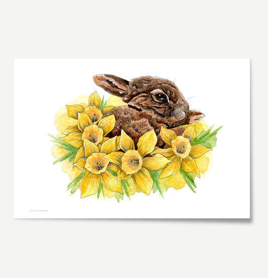 Dozing in Daffodils Print