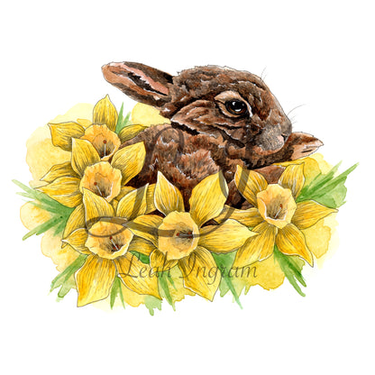 ONO Price - Dozing in Daffodils Original