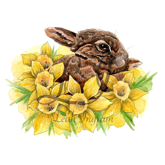 ONO Price - Dozing in Daffodils Original