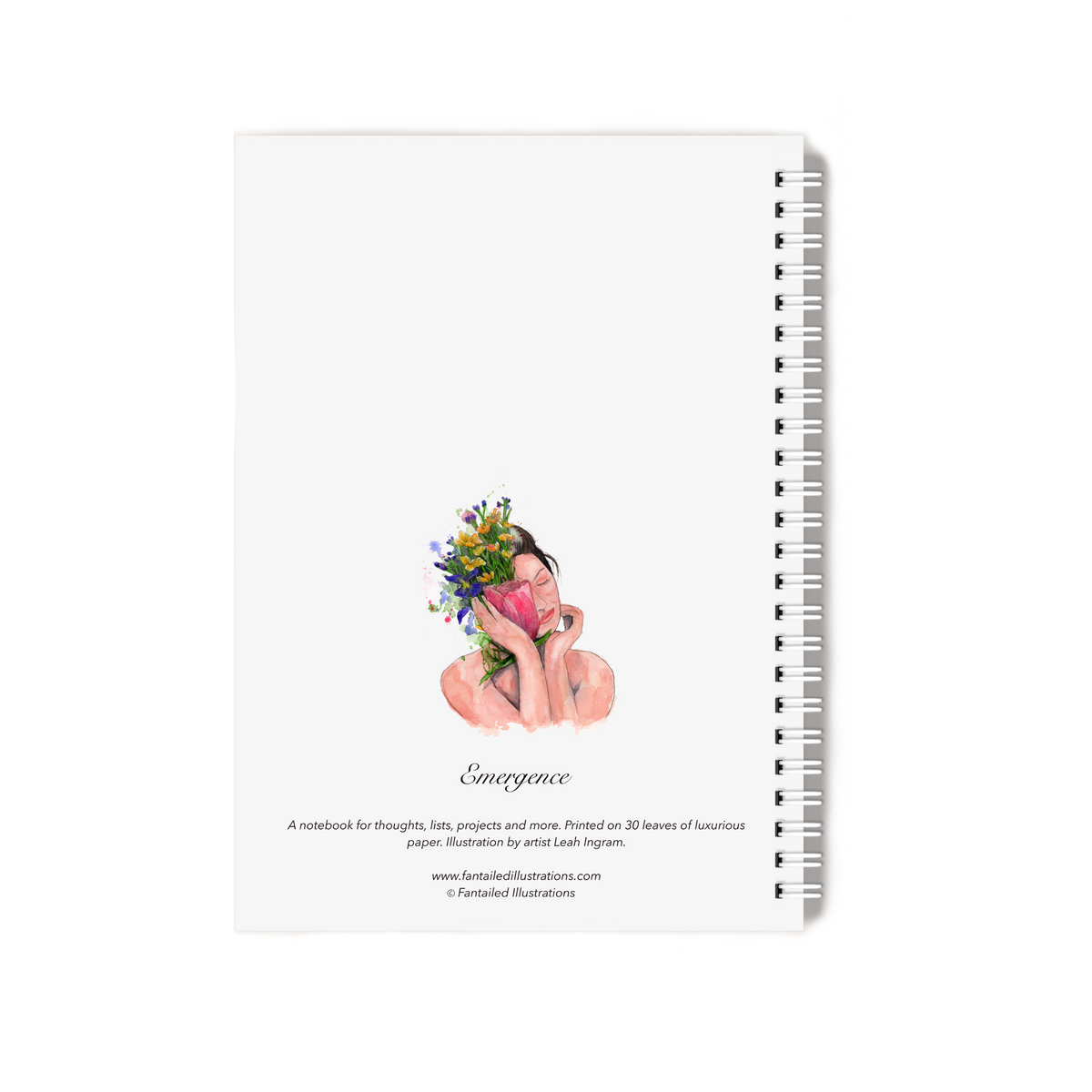 "Emergence" Notebook