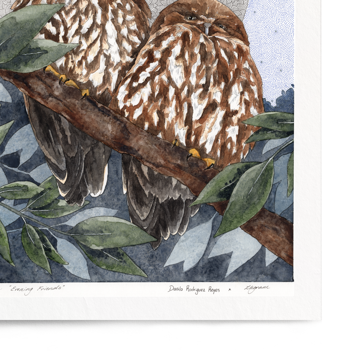 Framed artwork of two owls perched on branches with a textured circular background.