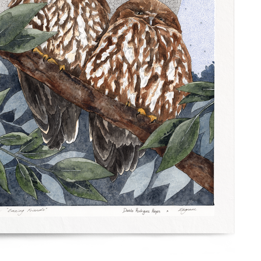 Framed artwork of two owls perched on branches with a textured circular background.