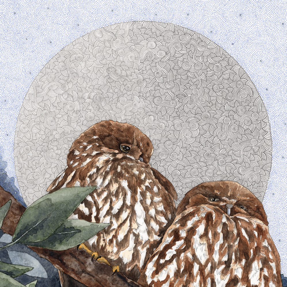 Framed artwork of two owls perched on branches with a textured circular background.