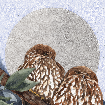 Framed artwork of two owls perched on branches with a textured circular background.