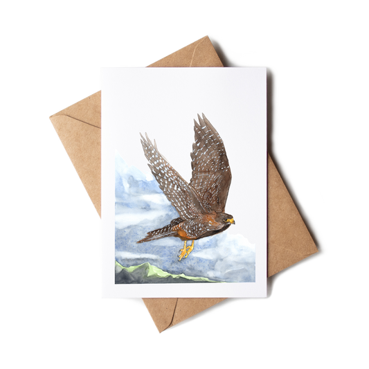 Greeting card with a falcon illustration on a white background with a brown envelope.