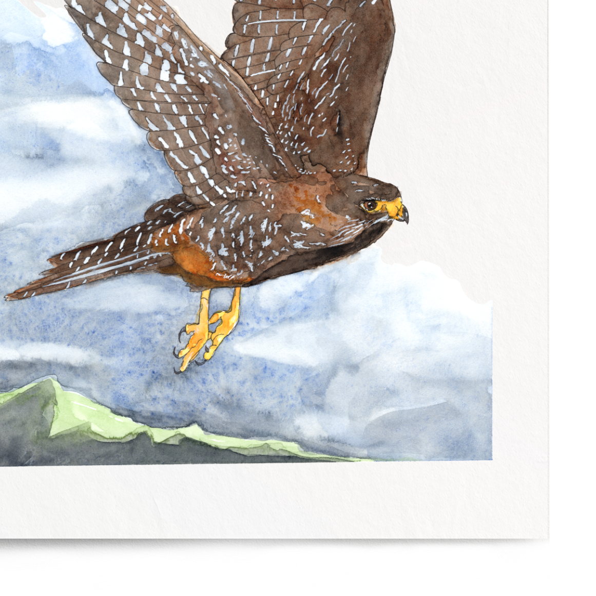 Framed artwork of a bird of prey in flight with a mountainous landscape background.