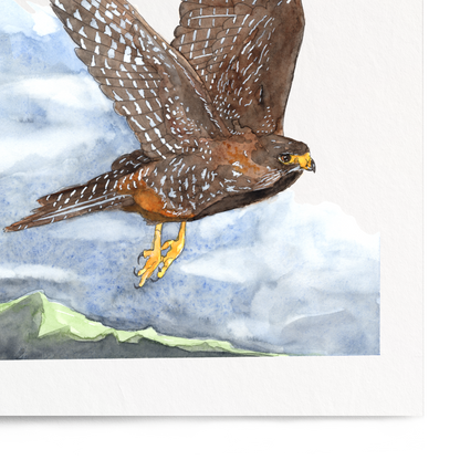 Framed artwork of a bird of prey in flight with a mountainous landscape background.