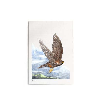 "Falcon in Flight" Print