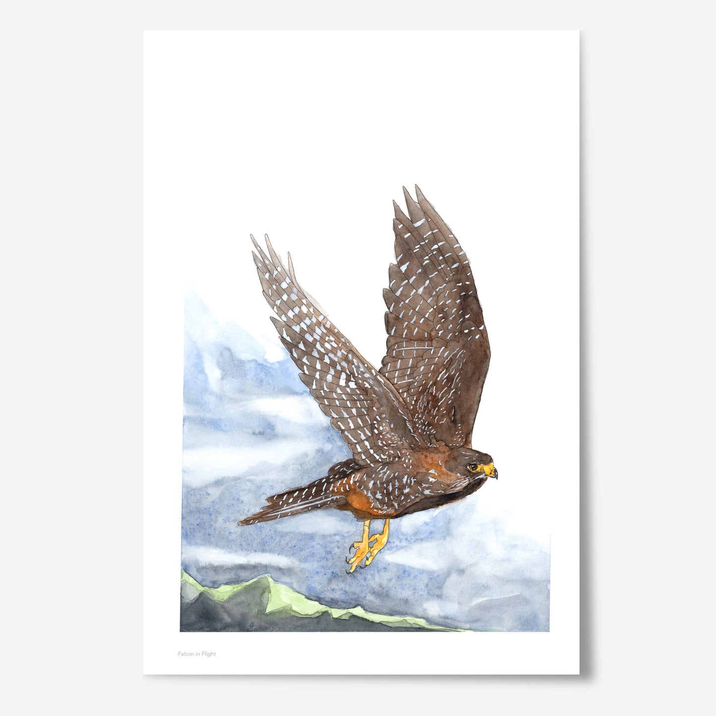 Falcon in Flight Print