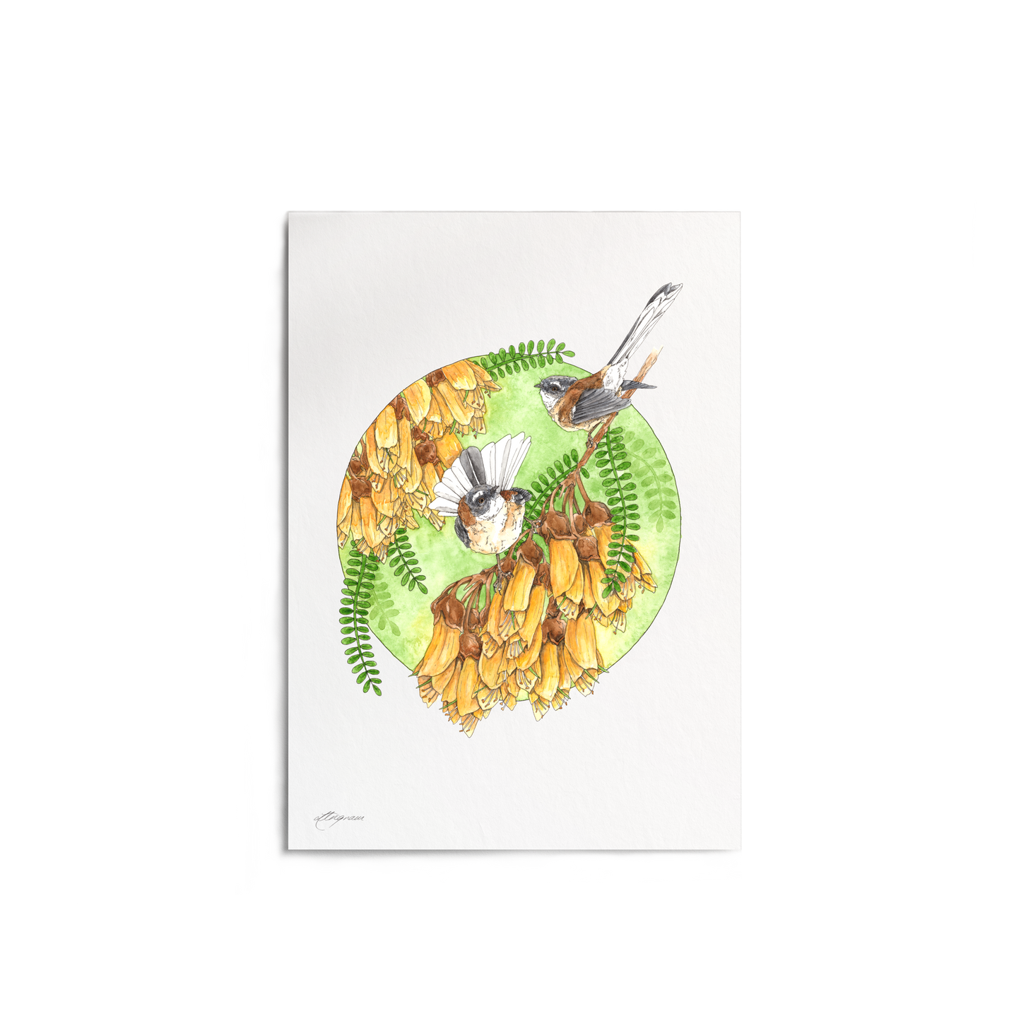 "Fantailed Friends" Print