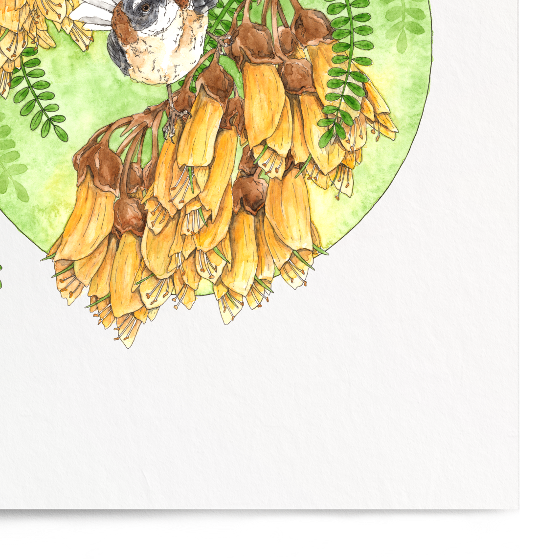Illustration of birds perched on a branch with flowers on a white background
