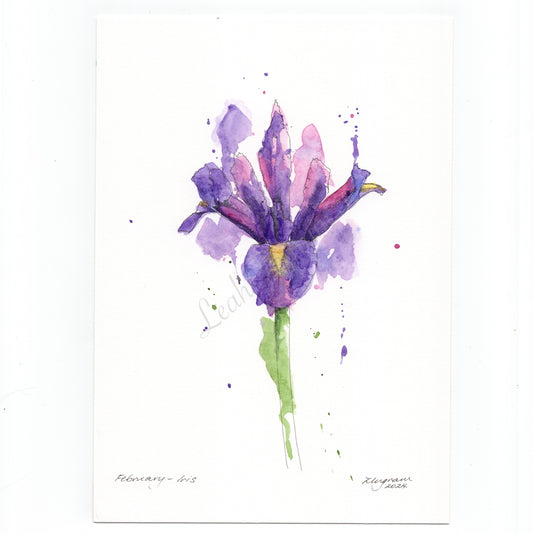 ONO Price - Iris Original