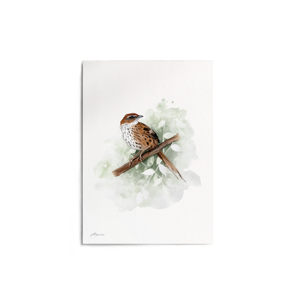 "Fernbird (Mātātā)" Print