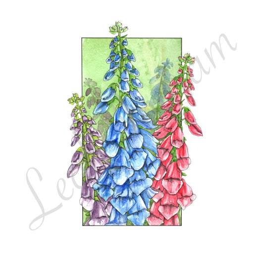 Foxgloves Original