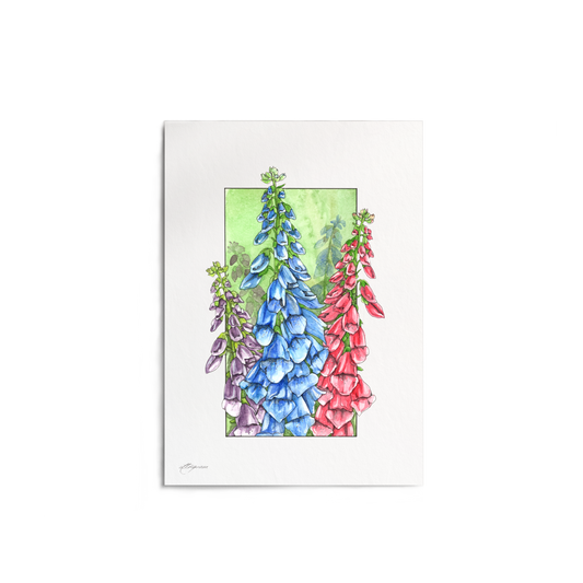 "Foxgloves" Print