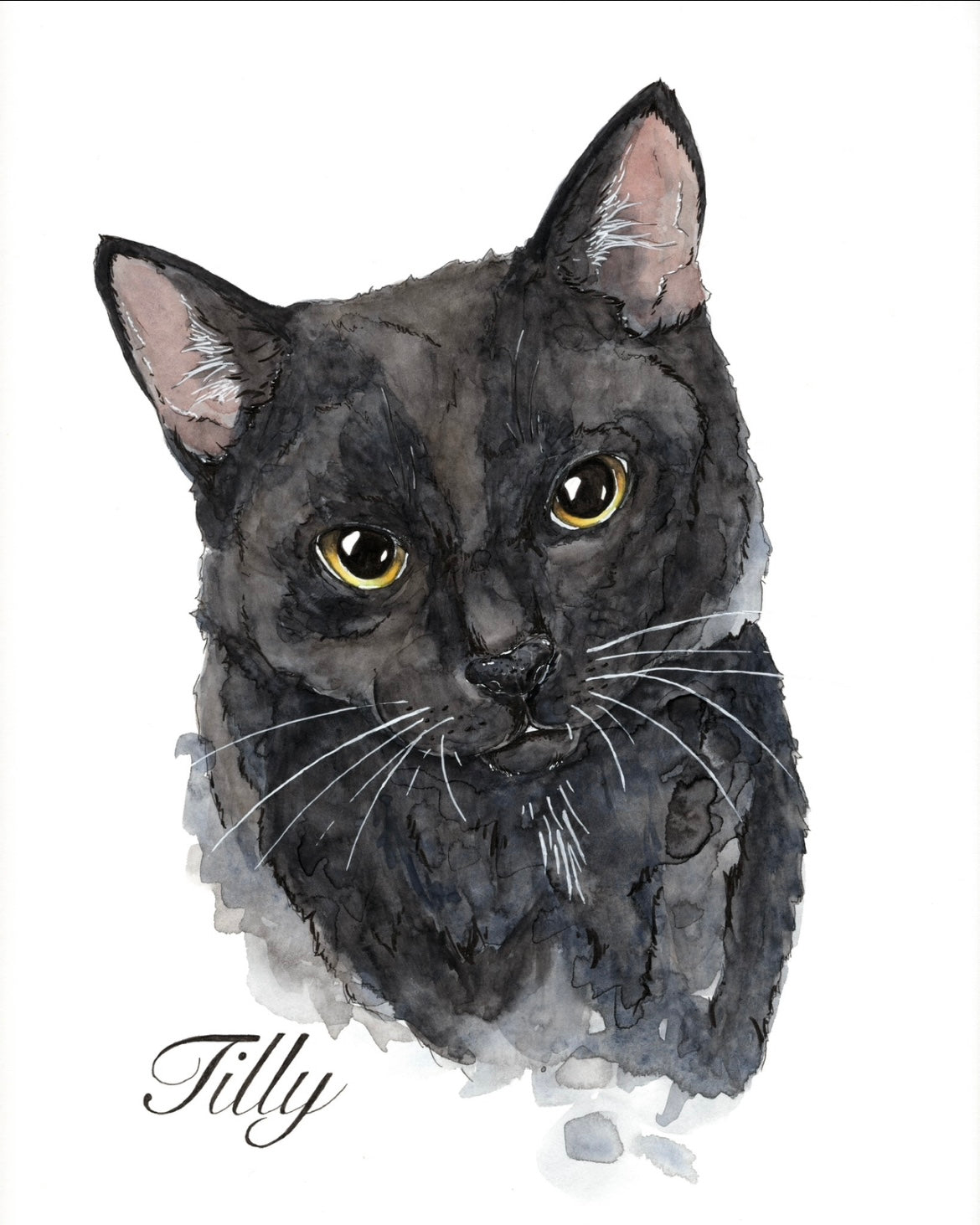 Pet Portrait - Request a quote