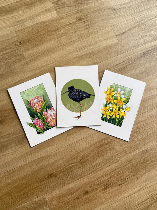 Green 3 Pack Prints A4