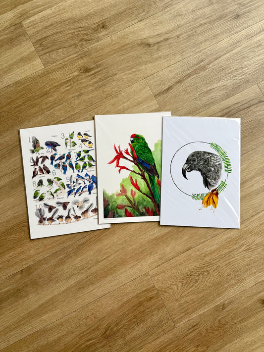 Natives 3 Pack Prints A4
