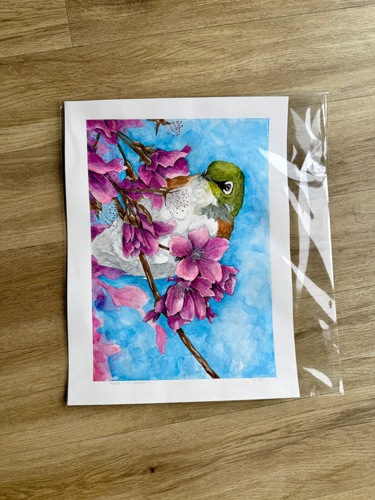 Tauhou in the Blossoms Original A3