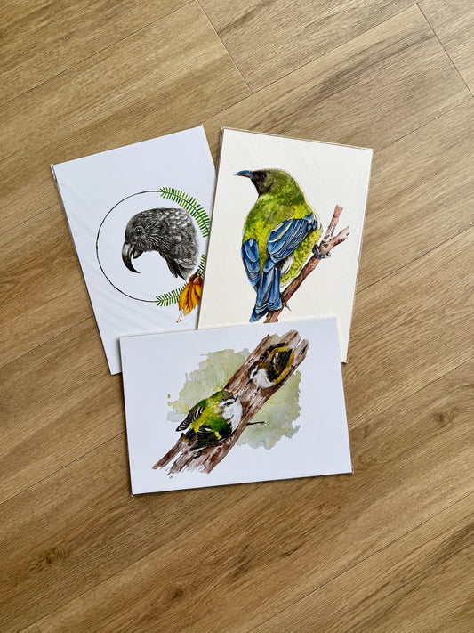 Birds 3 Pack Prints A4