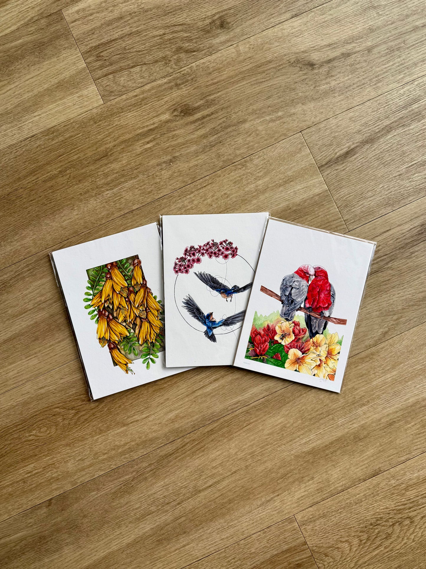 3 Pack Prints A5