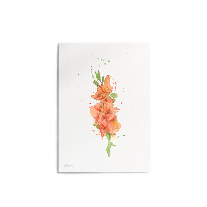 "Gladiolus" Print