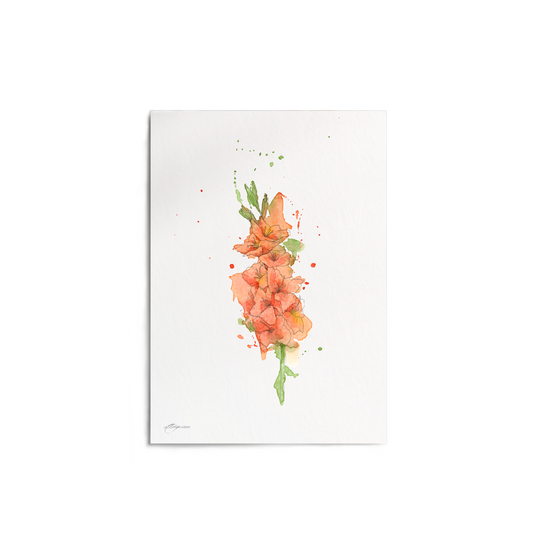"Gladiolus" Print
