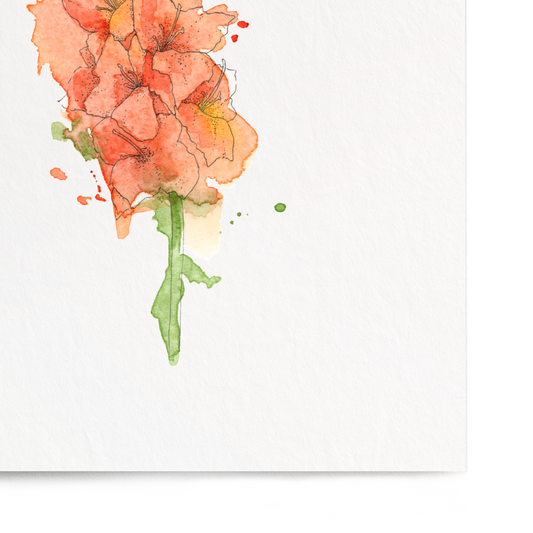 Floral artwork with orange flowers on a white background