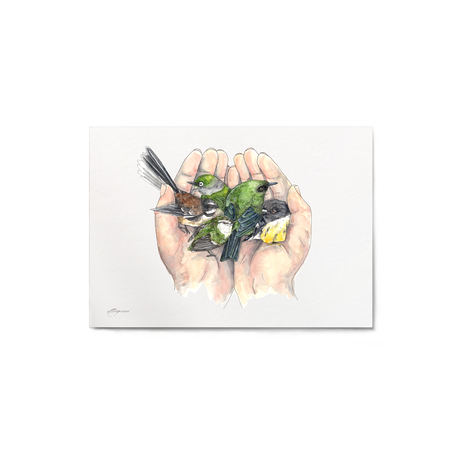 "Handful of Aotearoa" Print