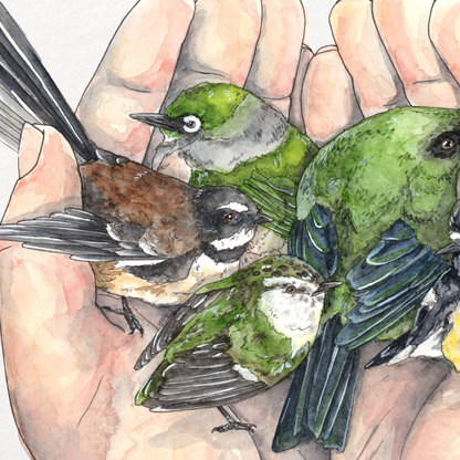 Illustration of hands holding two small birds on a white background