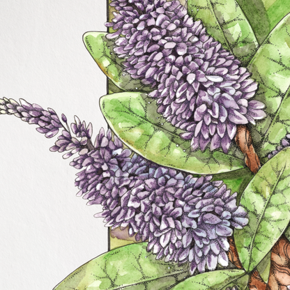 Framed artwork of a butterfly with purple wings and green body on a white background