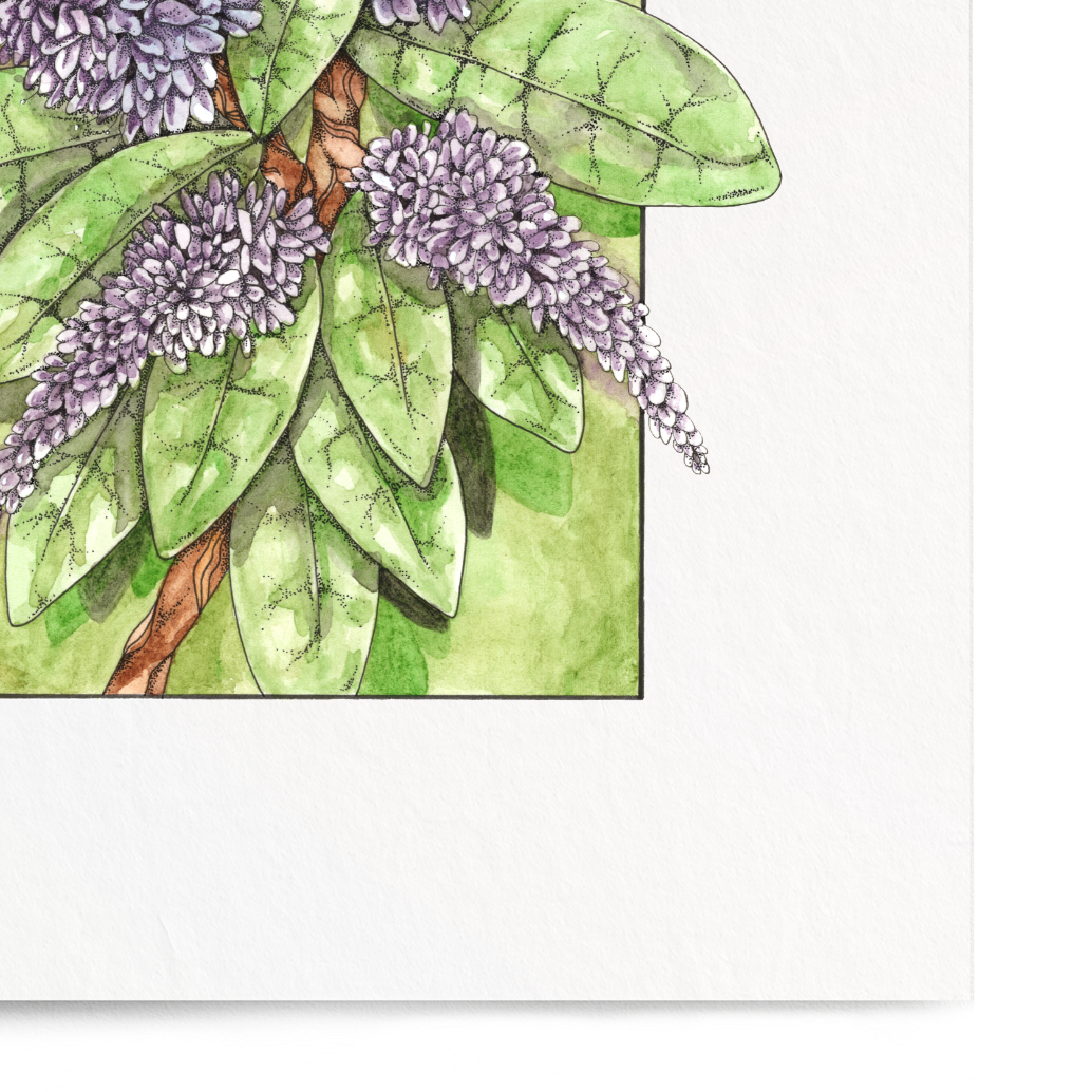 Framed artwork of a butterfly with purple wings and green body on a white background