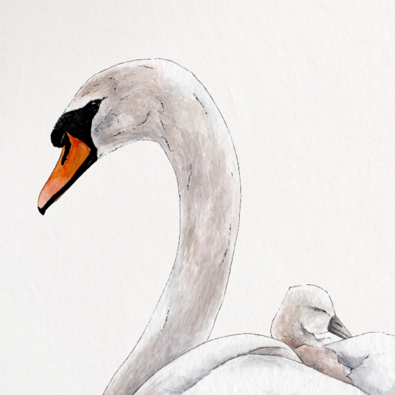 "Home" Print