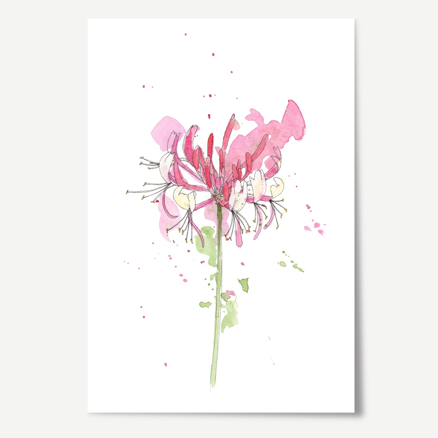 Grandma's Garden Print