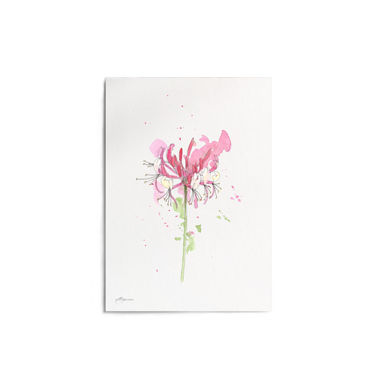 "Honeysuckle" Print