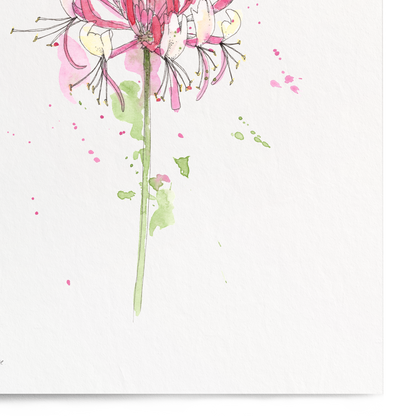 Framed artwork of a pink flower on a white background