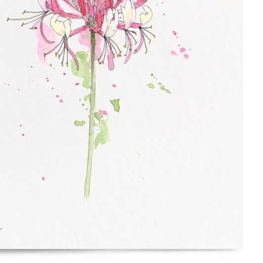 Framed artwork of a pink flower on a white background