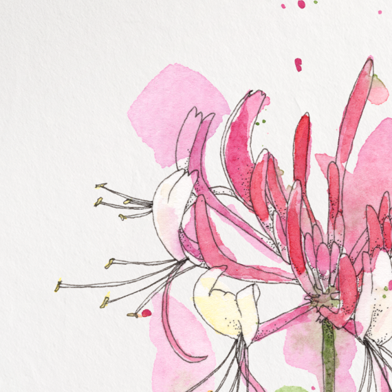 Framed artwork of a pink flower on a white background