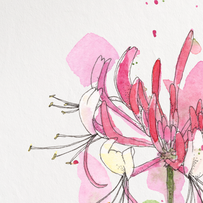 Framed artwork of a pink flower on a white background