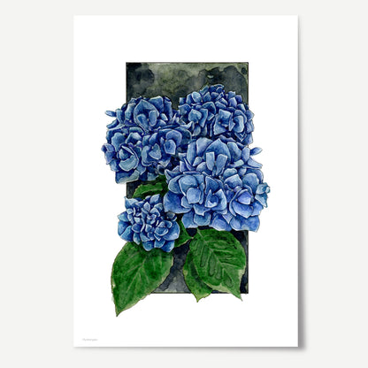 Hydrangea Print