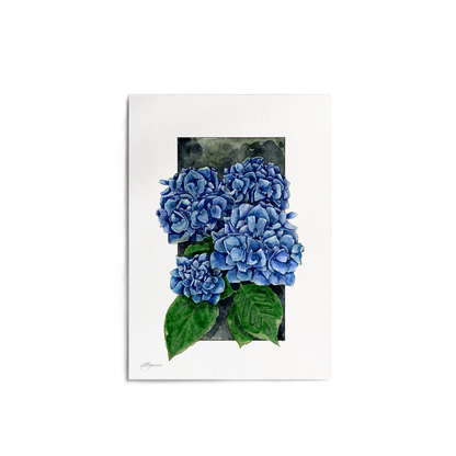 "Hydrangea" Print