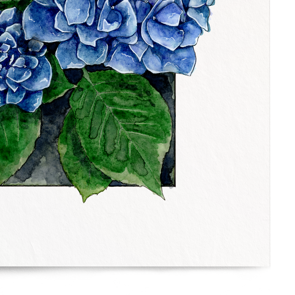 Framed artwork of blue hydrangeas on a white background