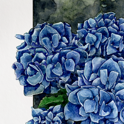 Framed artwork of blue hydrangeas on a white background