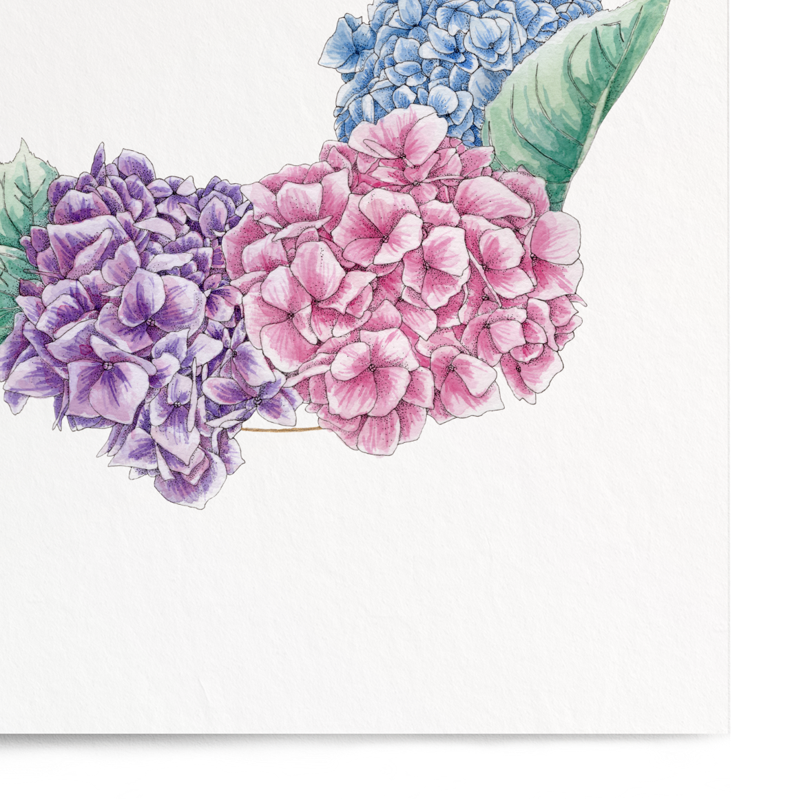 Floral design with hydrangeas and leaves on a white background