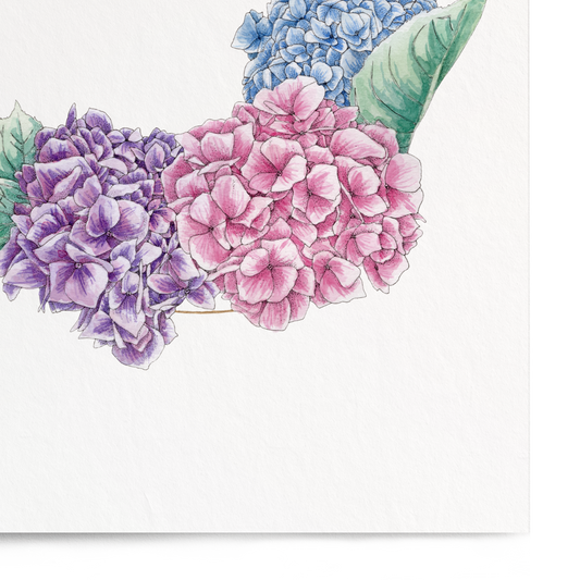 Floral design with hydrangeas and leaves on a white background