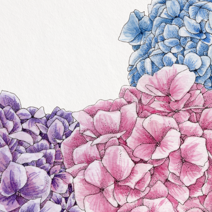 Floral design with hydrangeas and leaves on a white background