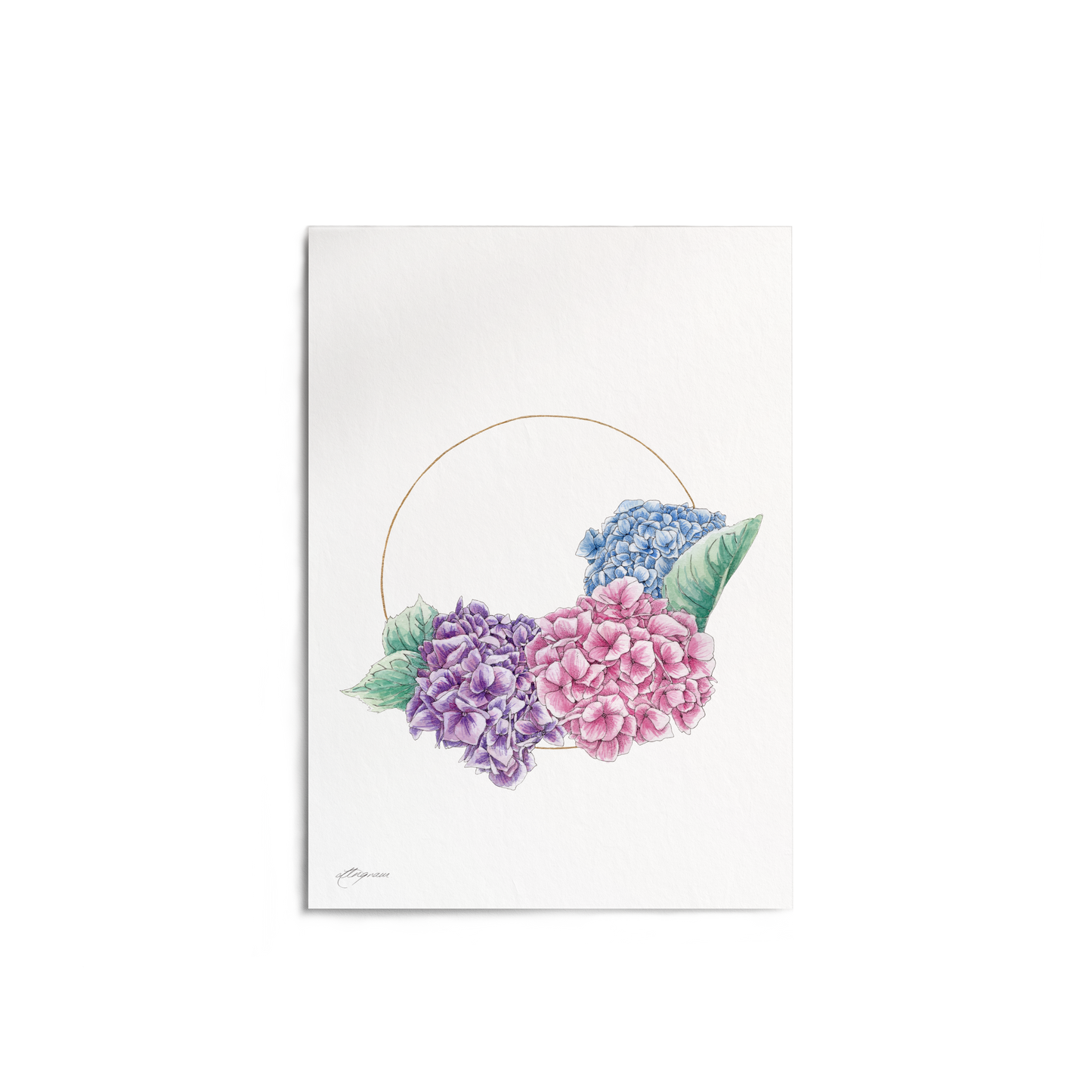 "Hydrangea in Gold" Print